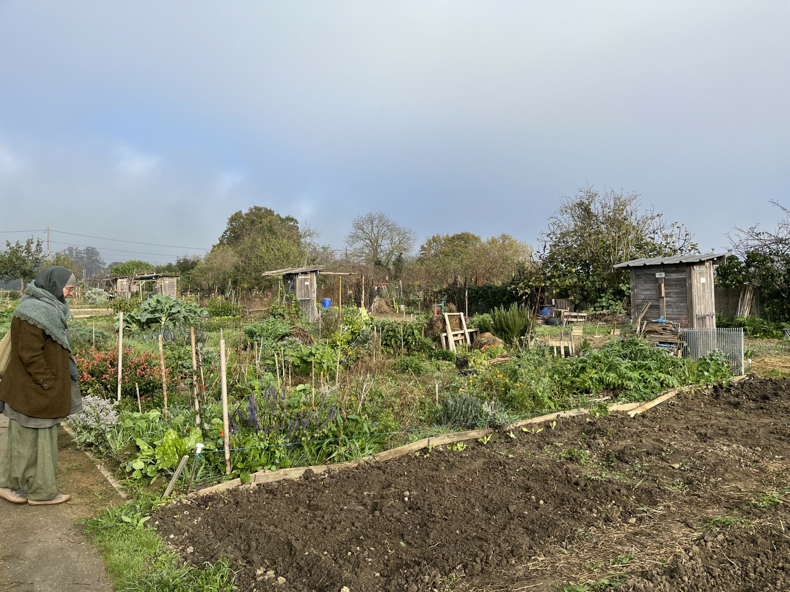 Jardin partagé des Genêts de la Garonne